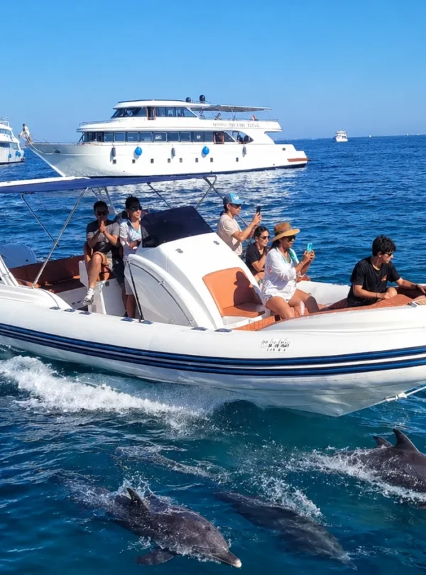 Dolphin House (Shaab El Erg) day tour
