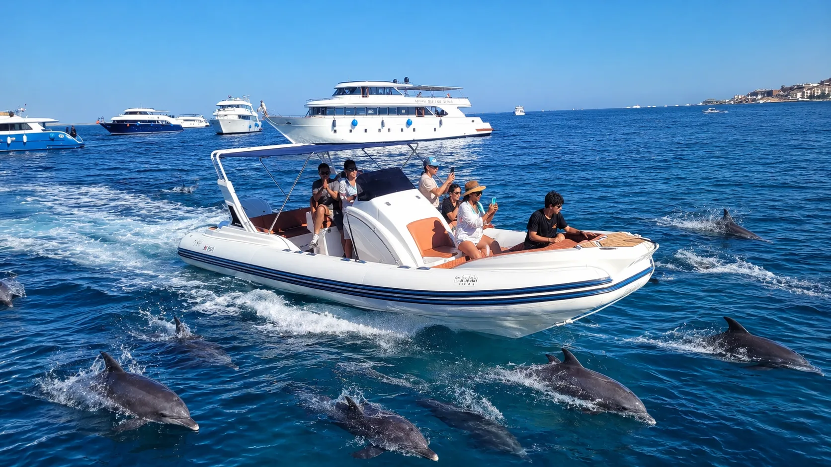 Dolphin House (Shaab El Erg) day tour