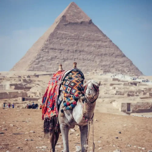 Giza Pyramids