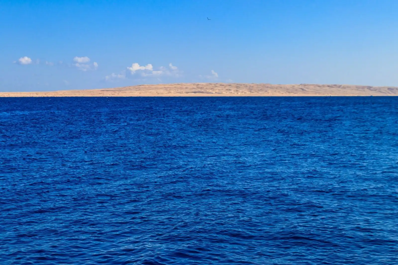 Giftun Island Egypt