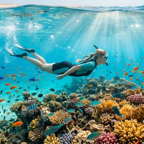 Snorkeling at Mahmya Island